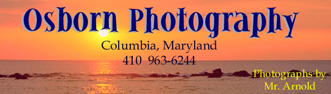 sunsetlogo